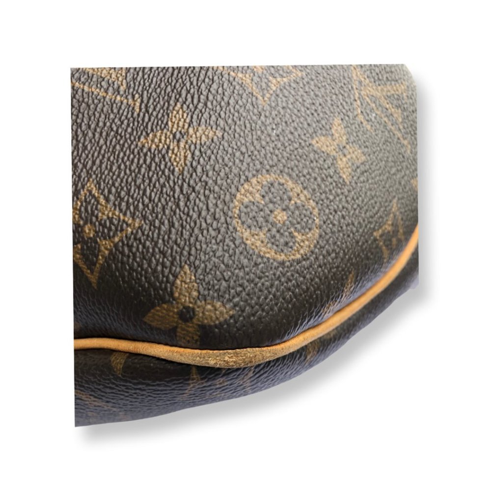 Authentic Louis Vuitton Monogram Delightful Pm Tote/Purse - Picture 3 of 12